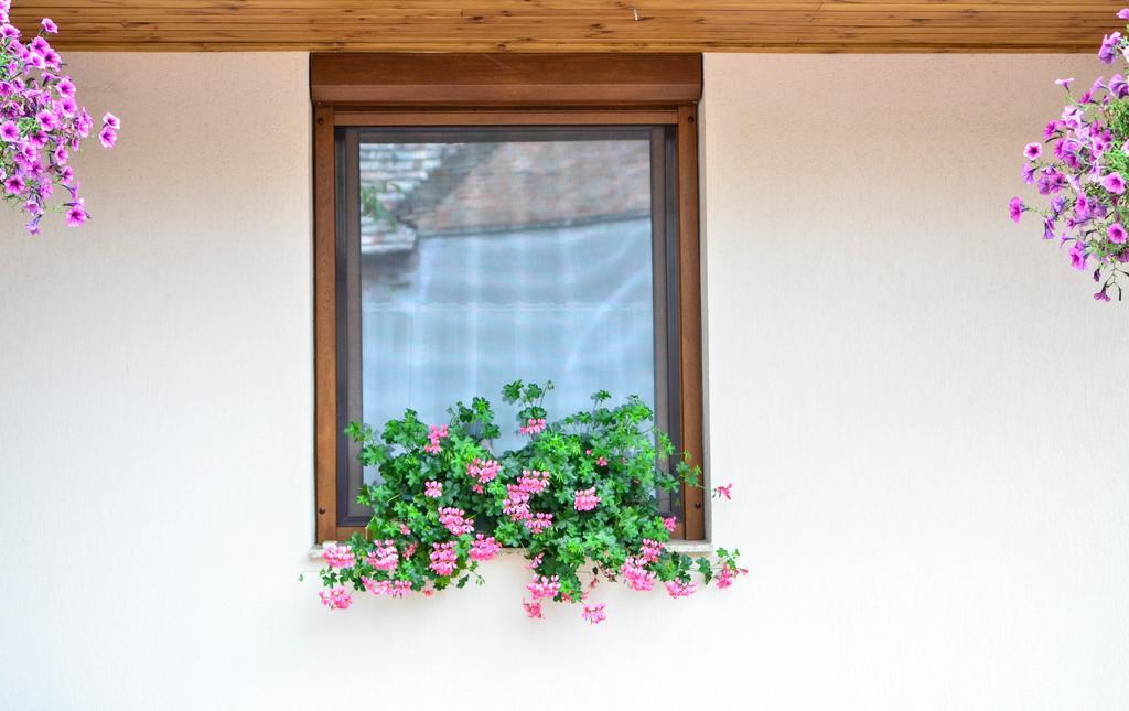 Páva Apartmanház Makó Kültér fotó